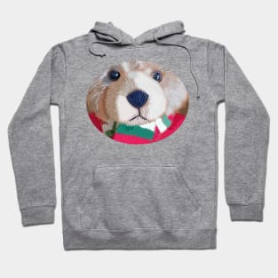 Close Up Teddy Bear Portrait Hoodie